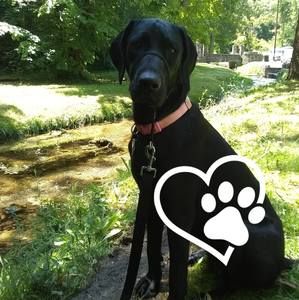 Meet your Posher, Marsha